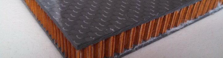Sandwich Panel - reinforcement